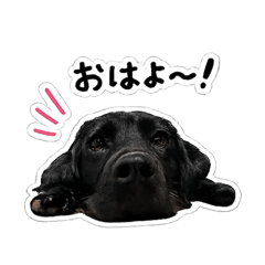 so-nene_20260511012559