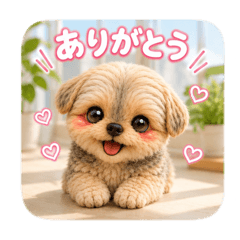 Roy_20260511004450