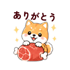 hachi moru_20260511020453
