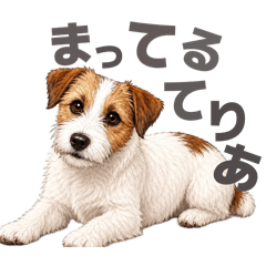 GOMO33_20260511014714