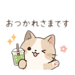 -Everyday Fluffy Cat-