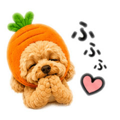 tsuna_20260511054548