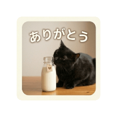 kuronekochan_20260511071432