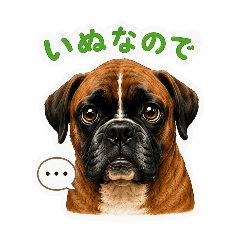 enchaki_20260511073618