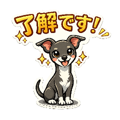 Italian Greyhound (Blue)