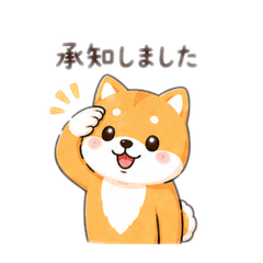hachi moru_20260511084837