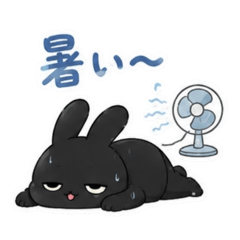 yoshimuuura_20260511105459