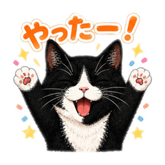 Monsieur.Tora 2