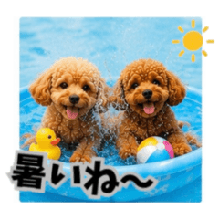 YUZUKABO_20260511111635