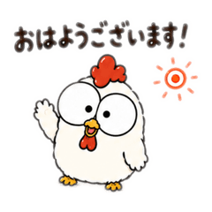 aikamm_20260511112925