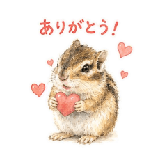 okome25_20260511234619