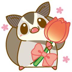 Cute sugar glider(spring)2