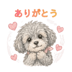 Easy to Use! Daily Maltipoo Sticker