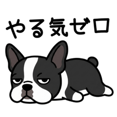 Lazy Dogs Chill Vibes Everyday