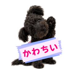 TAHEYMOM_20260511115018