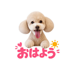 yuki.sinamon