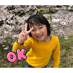hamada setsuko_20260511114725