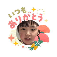 SHIBA_20260511114604
