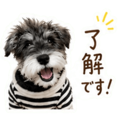 aaaaaaa_20260511115443