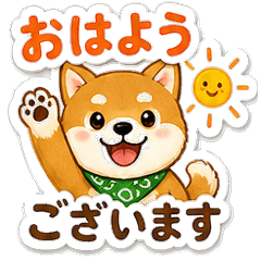 Shiba Inu Polite Business 24