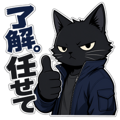 Cool & Practical Black Cat