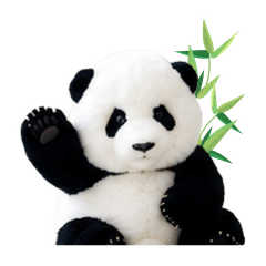 Everyday Life of Fluffy Panda