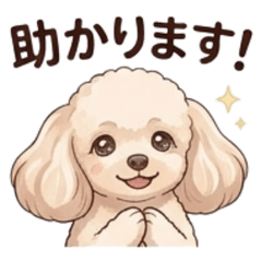 Sweet Toy Poodle: Polite & Quick Replies