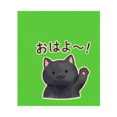BLAC-CAT Daily Chat Stickers