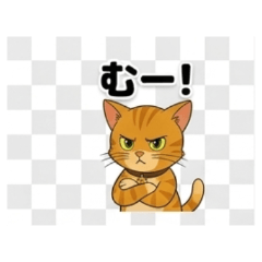 CAT --Daily Chat Stickers