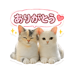Kinako and Mochio Stickers