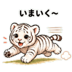 Purin the Fluffy White Tiger