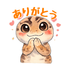 West African Fat-tailed Gecko