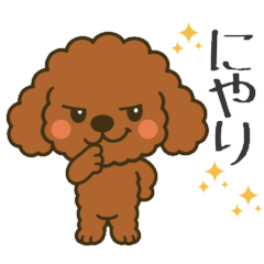 Cute Everyday Toy Poodle Stickers.