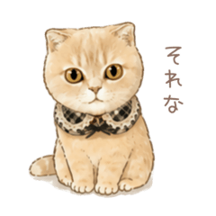 kamenushi