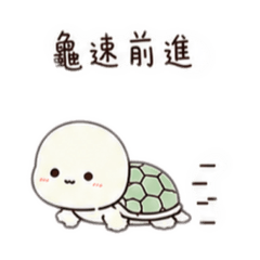 小龜老婆日常貼圖❤️