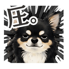 Savage Black Chihuahua Reactions