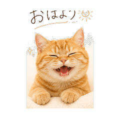 Fluffy Orange Cat Everyday Stickers
