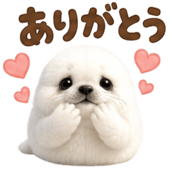 "Our Seal" - A Seal You Can Use Forever