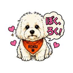 Fluffy ROKU2