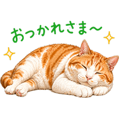Chubby Baby Cat - The Little One