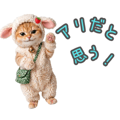 Fluffy Knit Cat Part 3