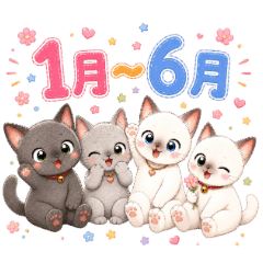 achaWacha Four Cats (Jan-Jun Events)