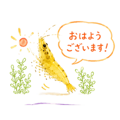cute yellow shrimp3
