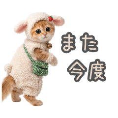 Fluffy Knit Cat Part 5