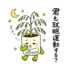 EVERFRESH's Daily Life