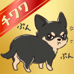 20260513dog