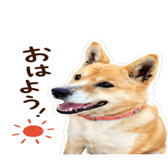 Kuchan-002