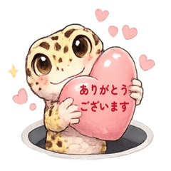 tantan_20260513225732