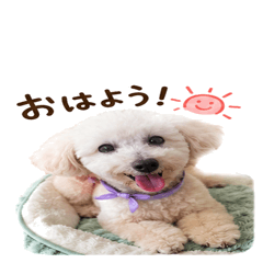 Kinako-002