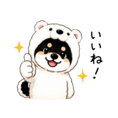 Kumashiba